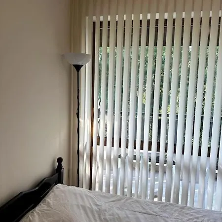 Spacious Fully Furnished Studio In Apart Lejlighed