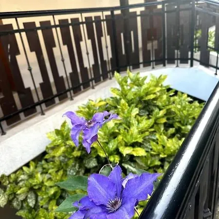 Spacious Fully Furnished Studio In Apart *